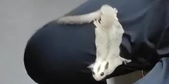FFς˿,۴ʲôhB