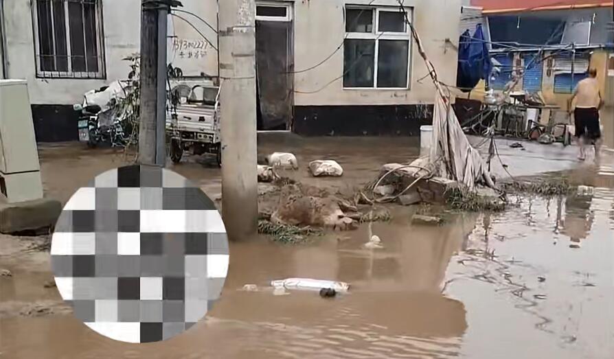 涿州洪水