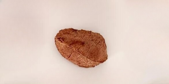鮑魚果的功效和作用