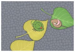 ݵǻxǰȡشЄ,ݵҪB˹ˣ