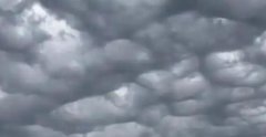大連天空現窟窿云,糙面云預示著什么嗎?